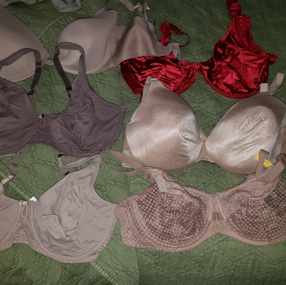 Only red bra. Size 40c